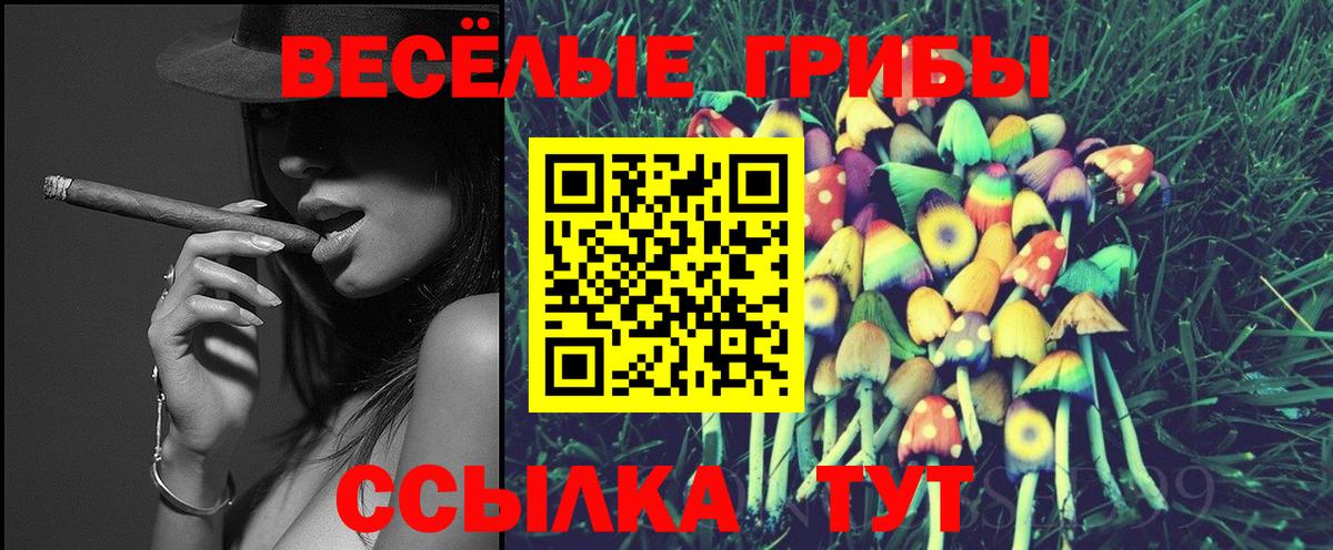 Сорочинск  Псилоцибиновые грибы MAGIC MUSHROOMS  Галлюциногенные грибы мухоморы  Вход с VPN 